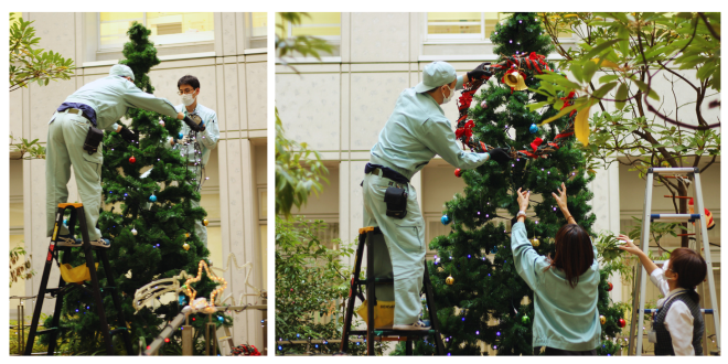 ツリー飾りつけ