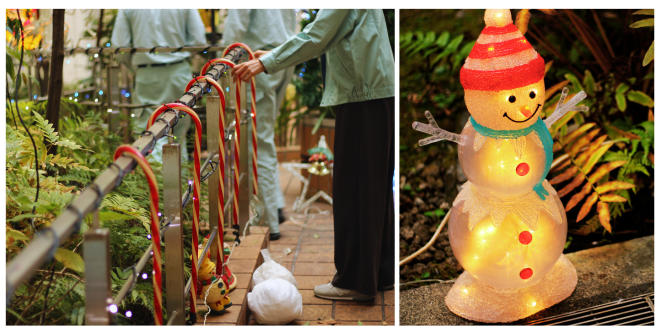 中庭シュガーケインスノーマン